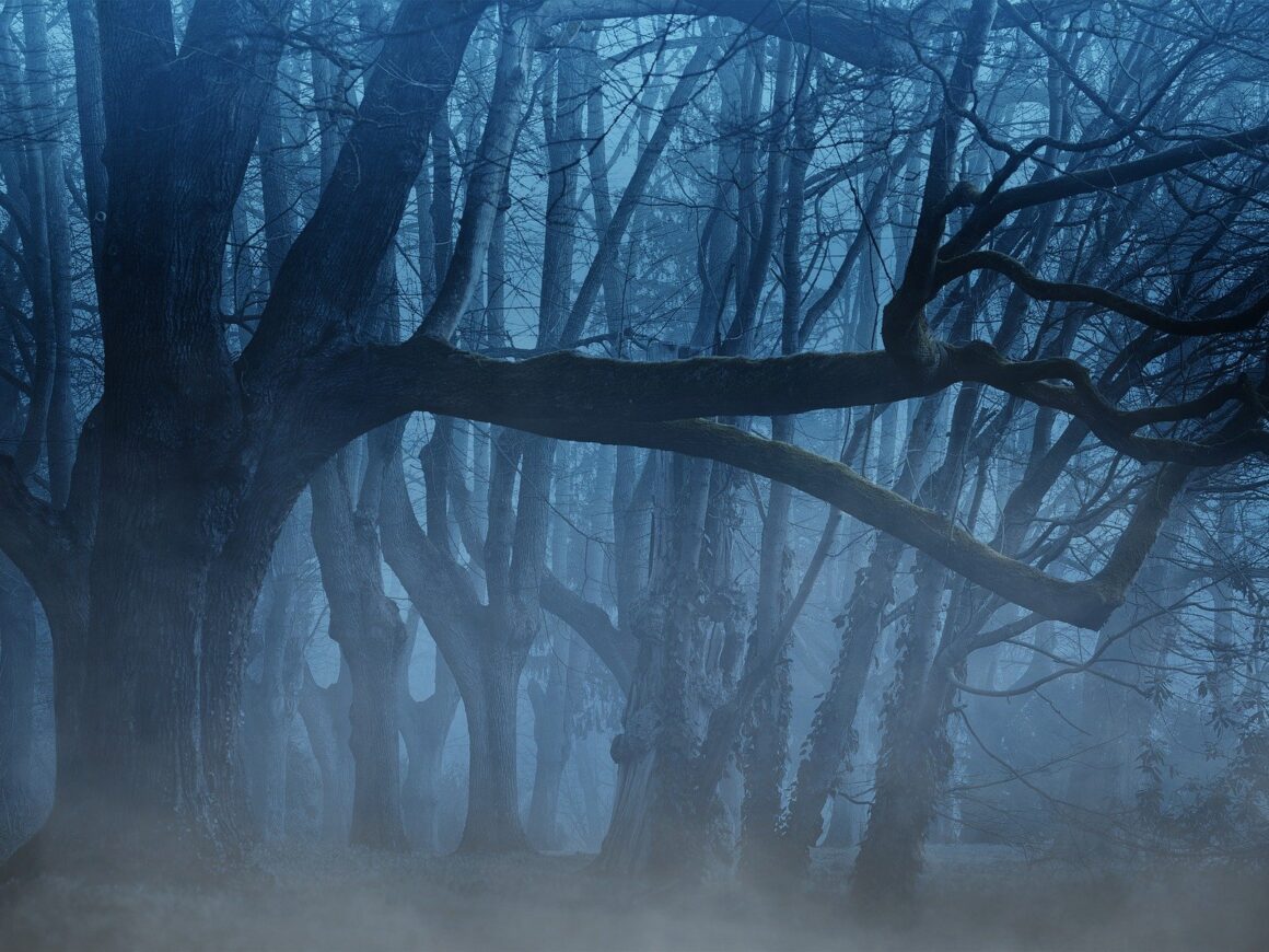 www.survive-psychopaths.blog