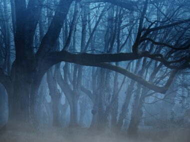 www.survive-psychopaths.blog