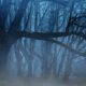 www.survive-psychopaths.blog