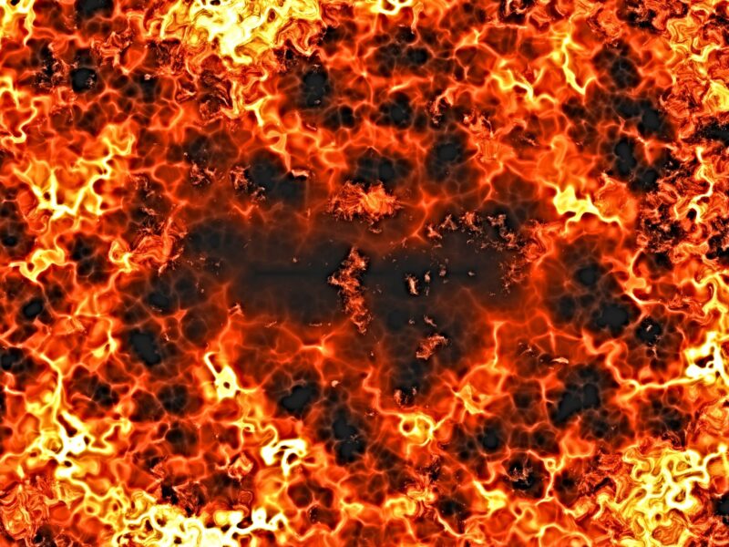 www.survive-psychopaths.blog