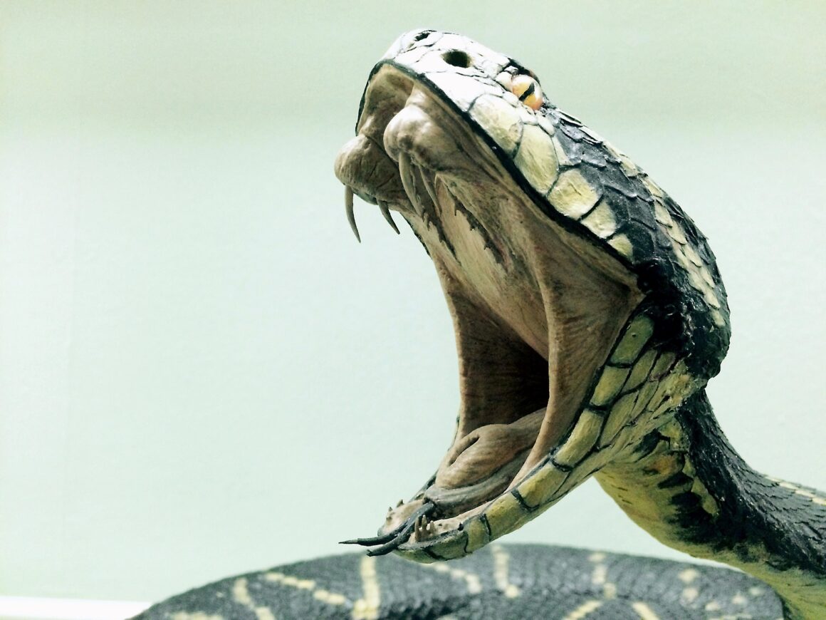 www.survive-psychopaths.blog