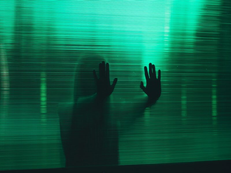 www.survive-psychopaths.blog